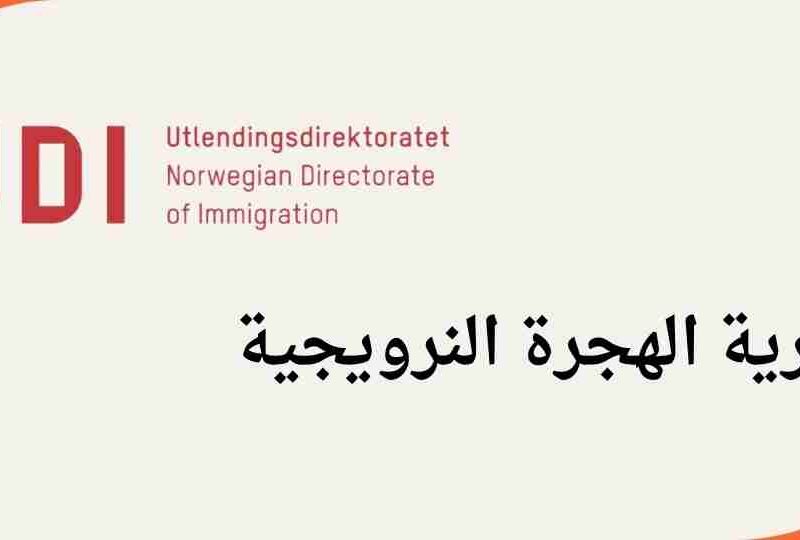 النرويج | هجرة : الكشف عن مئات الشهادات المزورة في طلبات تصاريح العمل لدى مديرية الهجرة النرويجية UDI