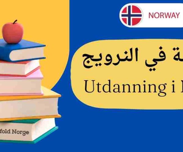 النرويج | تعليم : صدور تقرير يُظهر إحصائيات حول أعداد المتقدمين إلى الجامعات في العالم الدراسي 2023/2024